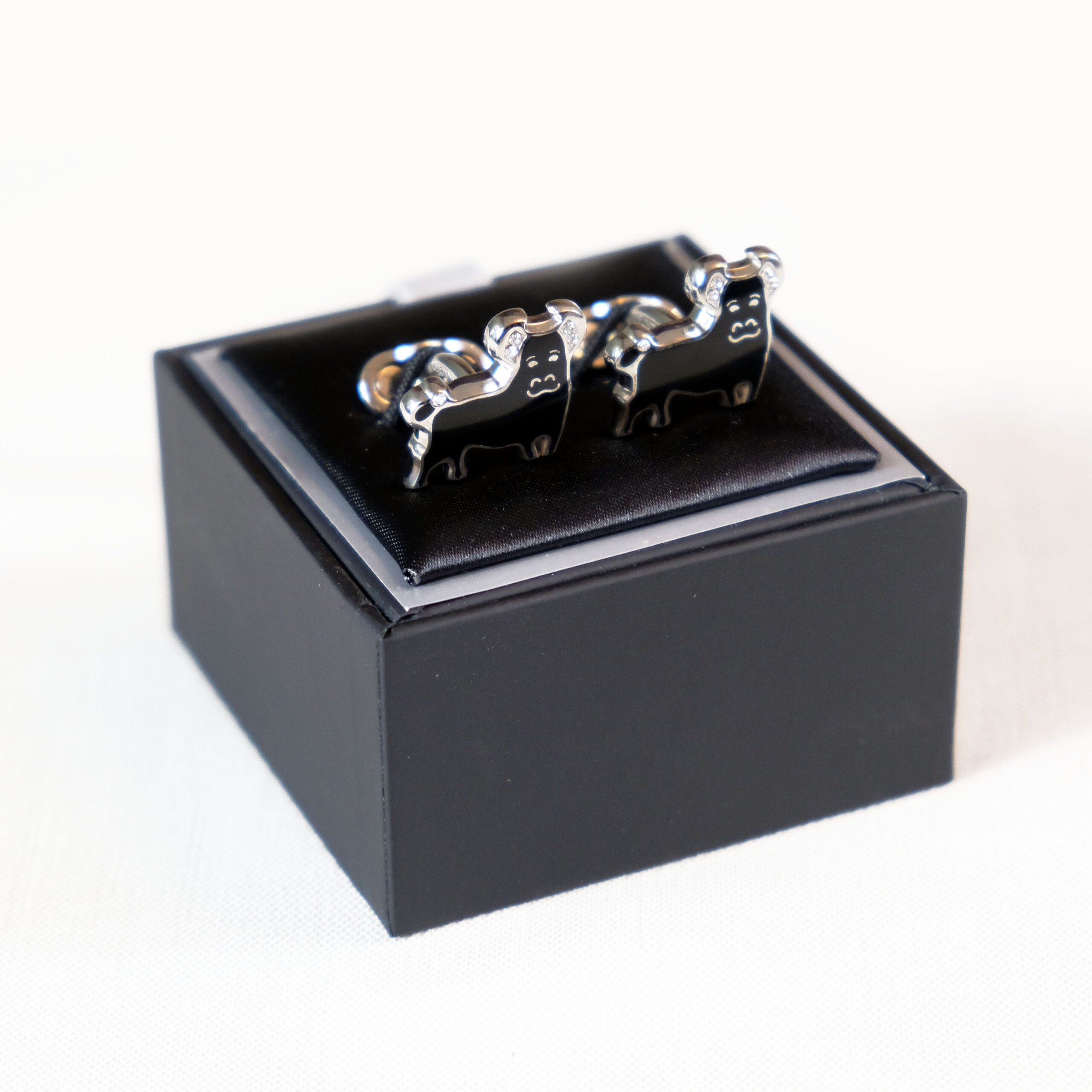 A black box with two silver rings in it